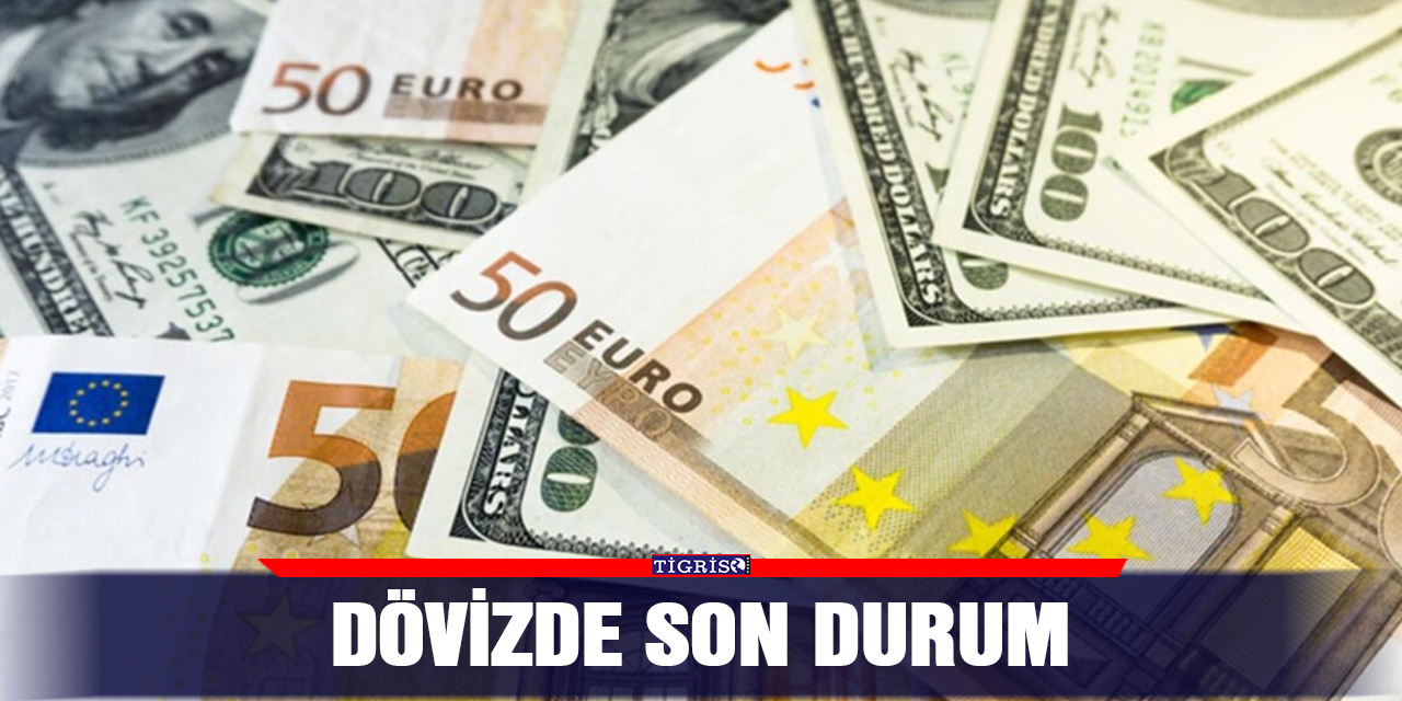 Dövizde Son Durum: Cari Açıkta Beklentiler ve Yeni Adımlar